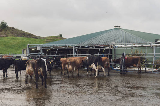 Consumers have concerns about various contaminants in water