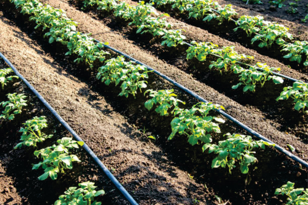 water filtering systems for commercial growers nz wide