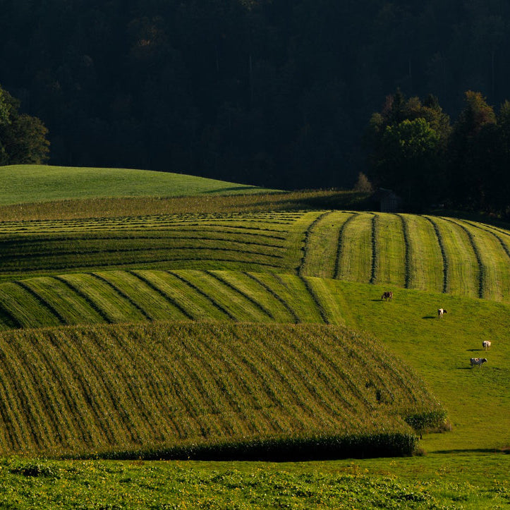 Farm Water Solutions
