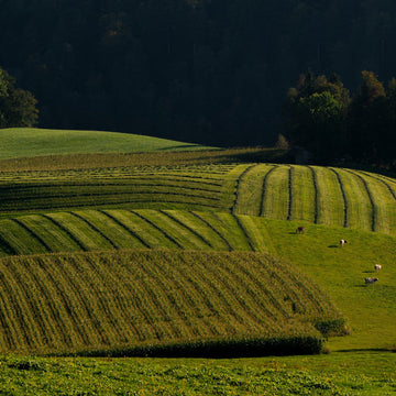 Farm Water Treatment Systems